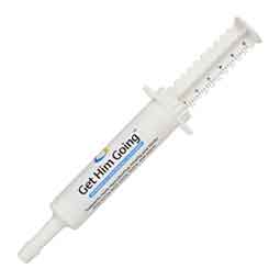 Get Him Going Reproductive Performance Supplement for Dogs and Cats  Breeder's Edge